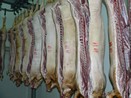 Gospodariile taranesti isi vor putea vinde porcii la abator
