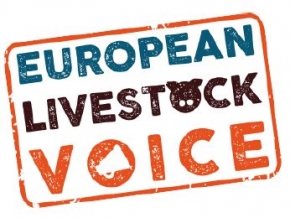Opinie: Perspectivele sectorului european de creștere a animalelor asupra cererii pentru carnea artificială