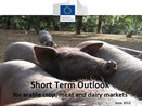 DG AGRI: Raport pe termen scurt - iunie 2012